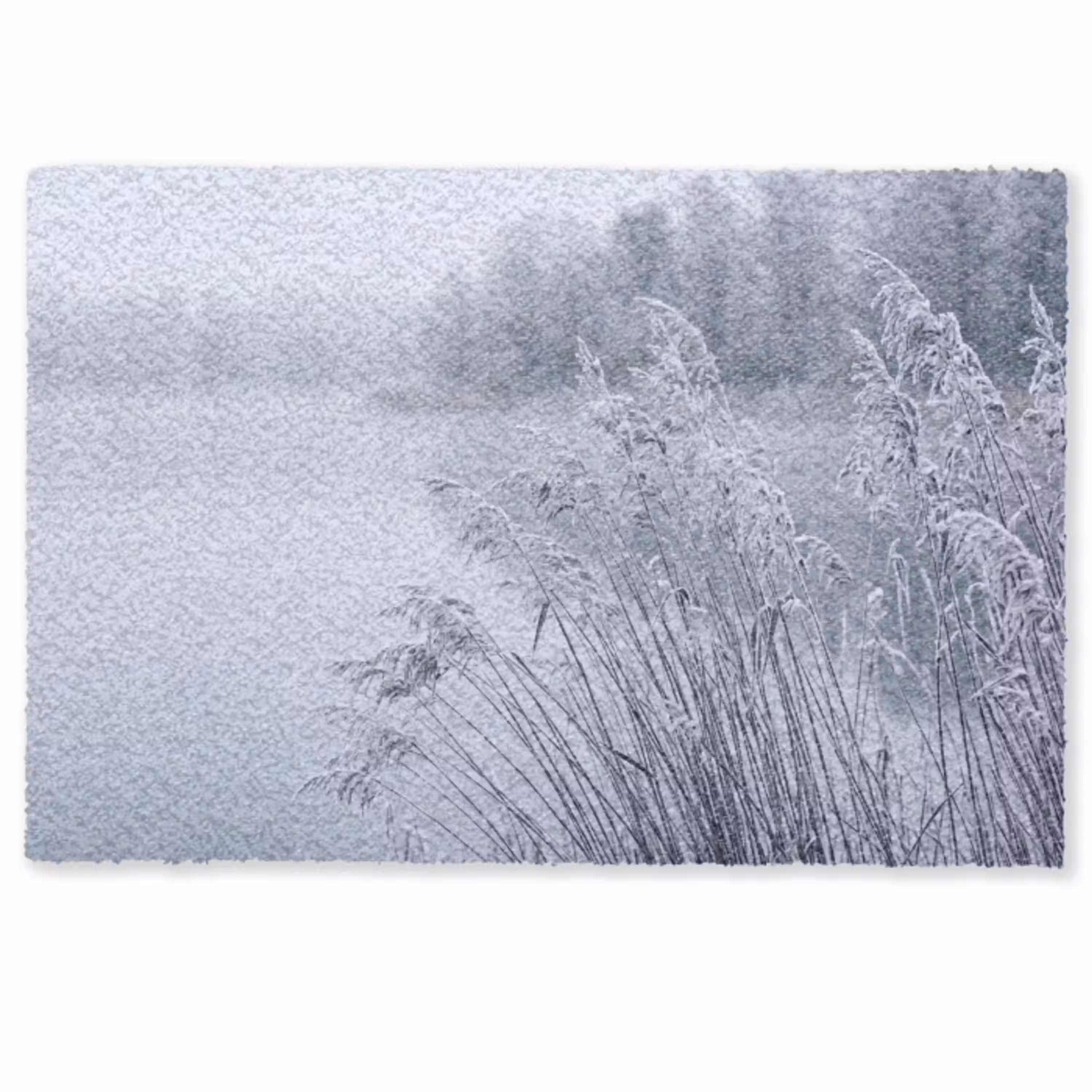 Riet - Bevroren - Winter - Natuur Deurmat klein -zkaufland3d