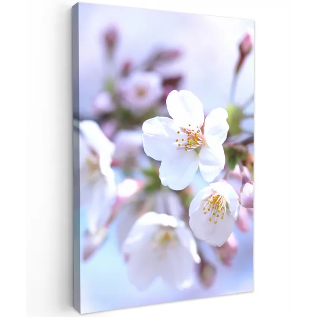 Bloemen - Sakura - Tak - Bloesem takken canvas 2cm klein -z3d