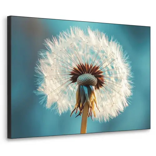 Paardenbloem - Natuur - Bloemen - Blauw Textielframe zwart klein -3d