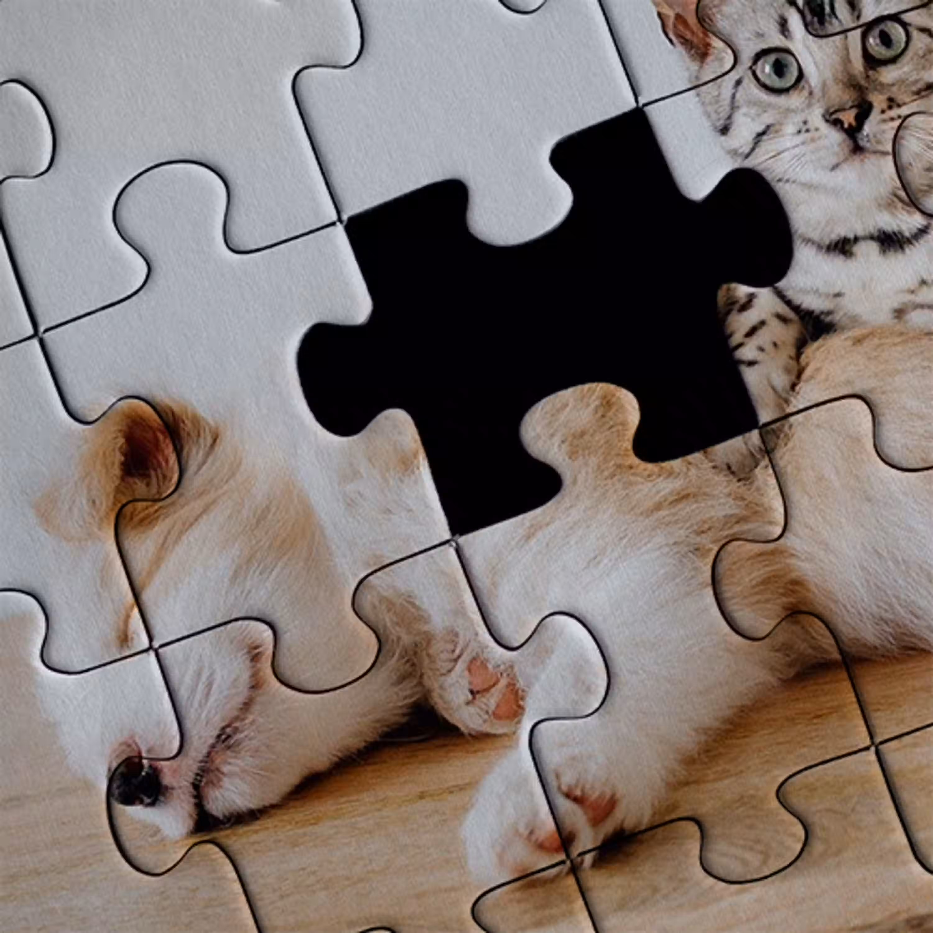 puzzeldoos-4b.png