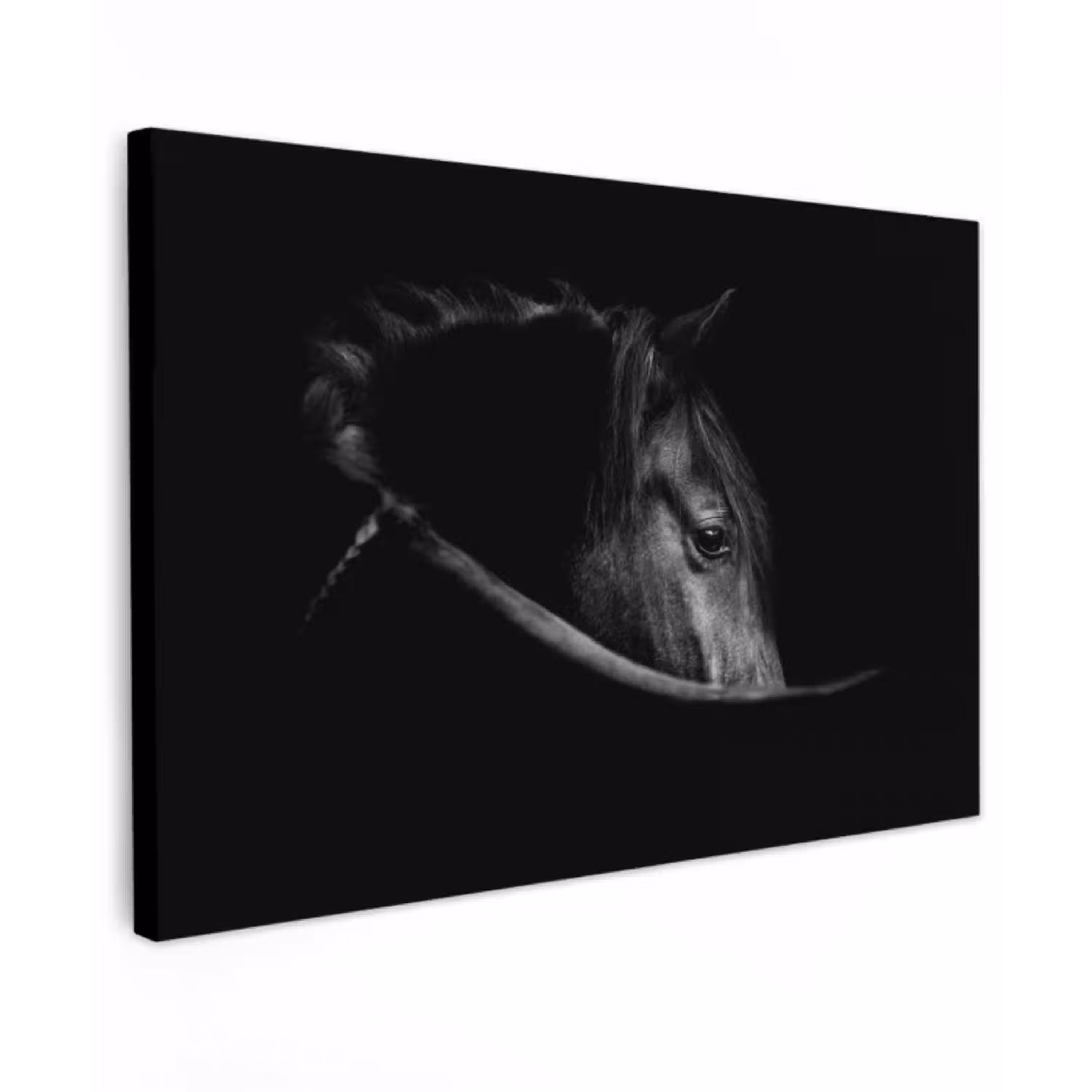 Paarden - Portret - Zwart - Dieren canvas 2cm klein -z3d