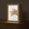 Graan - Geel - Wit - Natuur - Stilleven Light Box met kabel (Tafellamp) klein -z3d_website