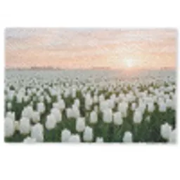 Tulpen - Landschap - Wit Deurmat klein -zkaufland3d