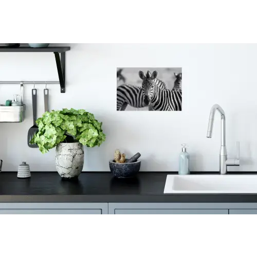 Zebra's - Zwart - Wit Muursticker klein -keuken