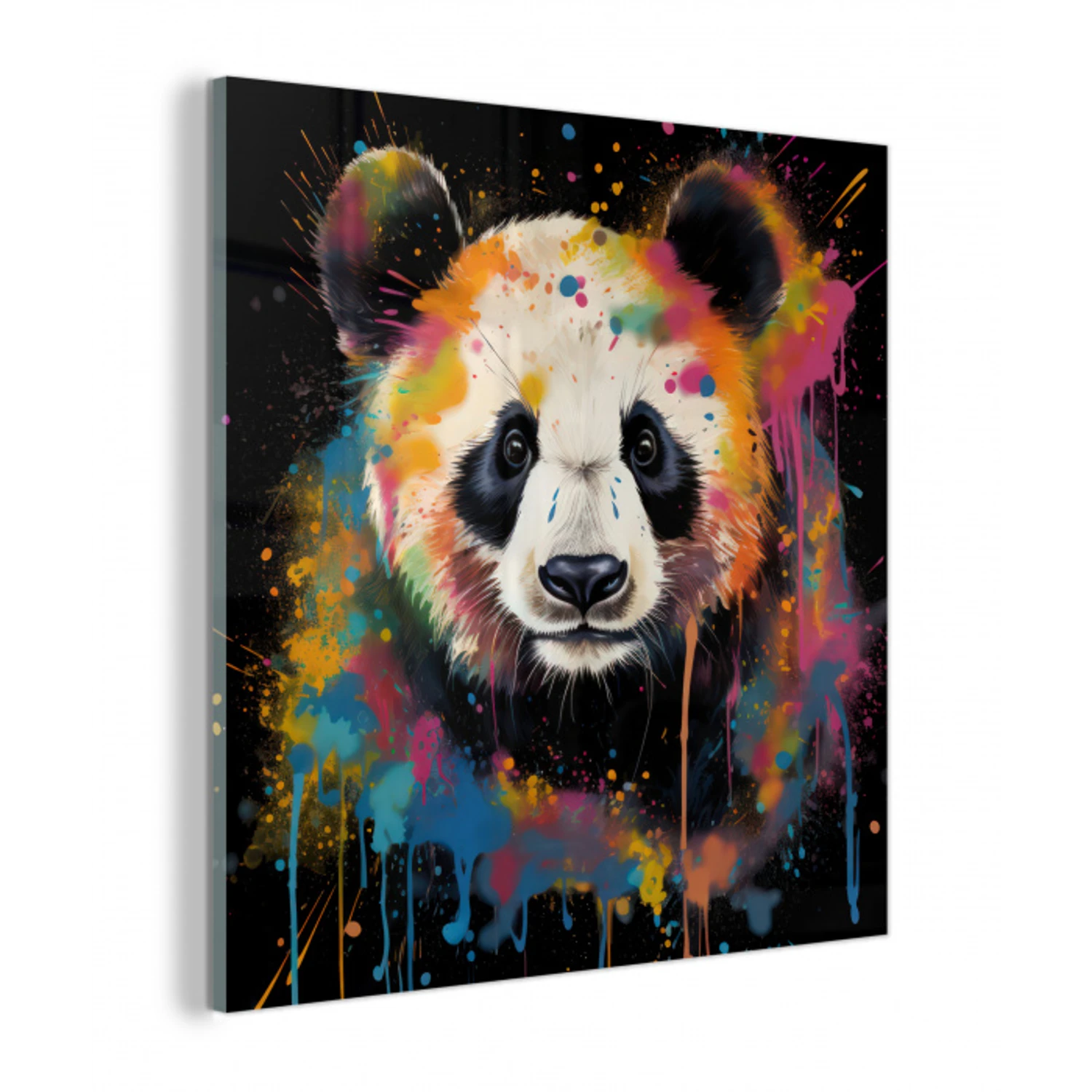 Panda - Graffiti - Dieren - Zwart - Kleuren plexiglas 5mm klein -z3d