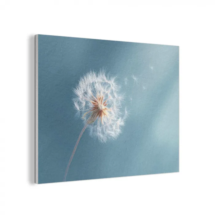 Paardenbloem - Wind - Blauw PET vilt klein -3d