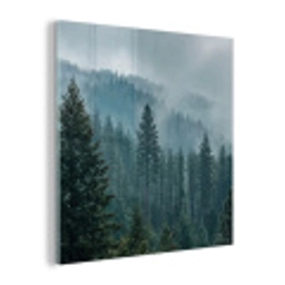 Naaldwoud - Bergen - Mist plexiglas 5mm klein -z3d