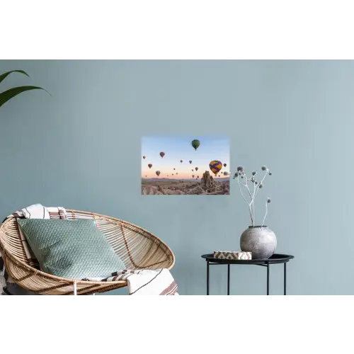 Luchtballonnen - Rotsen - Zonsopgang Muursticker klein -plant