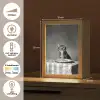 Bengaal - Kat - Tafelkleed - Zwart - Wit - Dier Light Box met kabel (Tafellamp) klein -USP_NL