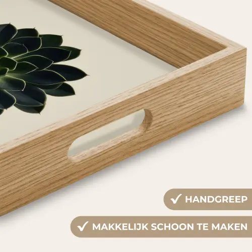 Rozet - Cirkelvormig - Donkergroen Dienblad Rechthoek middel -USP_HandgreepNL