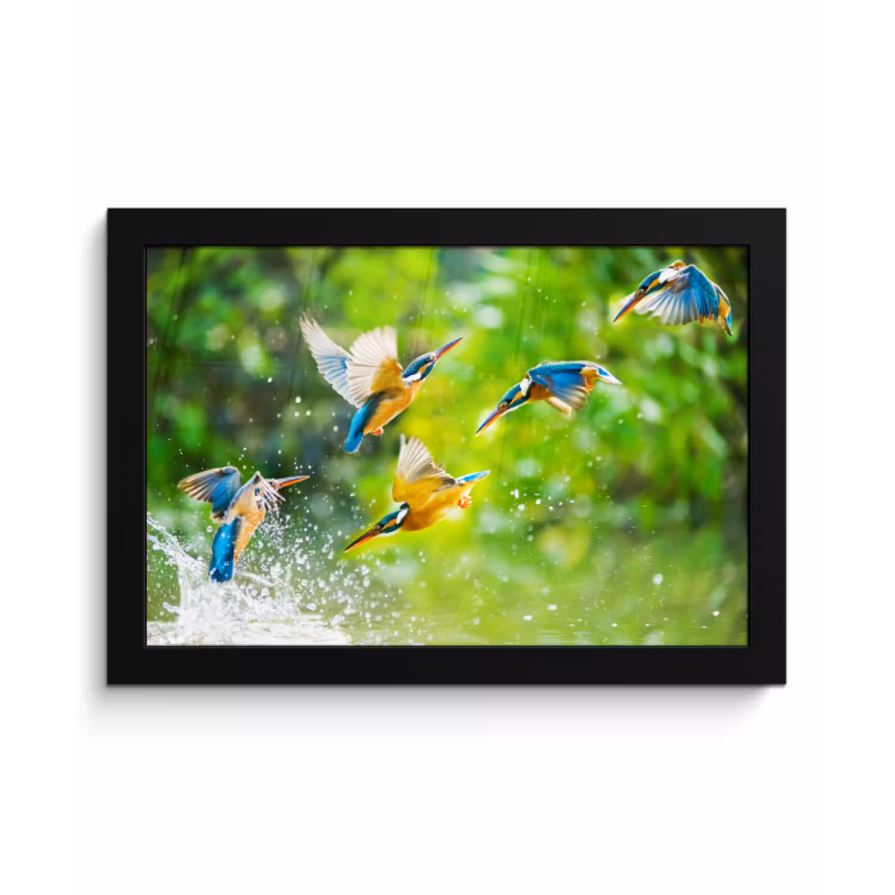 IJsvogels vliegen in het water fotolijst zwart zonder passe partout klein -3d
