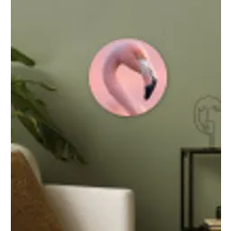 Flamingo - Portret - Roze Wandcirkel kunststof plaat 5mm dik klein -sfeer3
