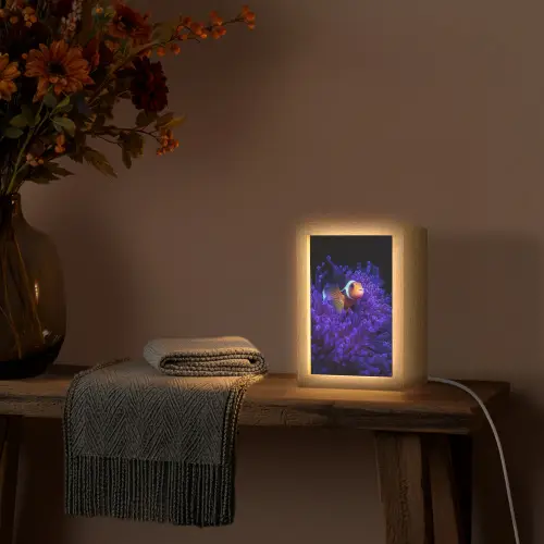 Koraal - Vis - Oranje - Zee Light Box met kabel (Tafellamp) klein -sfeer4