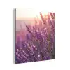 Lavendel - Paars - Zonlicht aluminium wit klein -3d