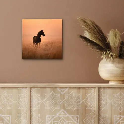 Paard - Grasveld - Zonsondergang aluminium wit klein -sfeer4