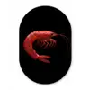 Garnaal - Rood - Dieren Wandcirkel Ovaal Forex klein -3d