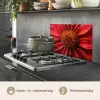 Close up - Bloem- Rood keuken achterwand spatscherm klein -usp_NL