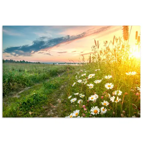 Bloemen - Madelief - Natuur - Zon - Horizon poster papier klein -3d
