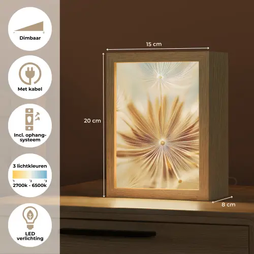 Paardenbloem - Beige - Abstract - Modern - Natuur Light Box met kabel (Tafellamp) klein -USP_NL