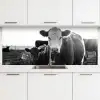 Koeien - Zwart - Wit keuken achterwand 2 middel -3d