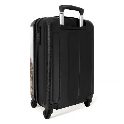 Ulke Uil NBS - Handbagage koffer - Kinderen Unisex middel -achterkant