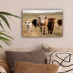 Runderen - Kudde - Landschap - Weide - Rustig canvas 2cm klein -sfeer1