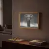 Olifant - Zwart - Wit - Rook Light Box met batterij (Wandlamp) middel -sfeer1