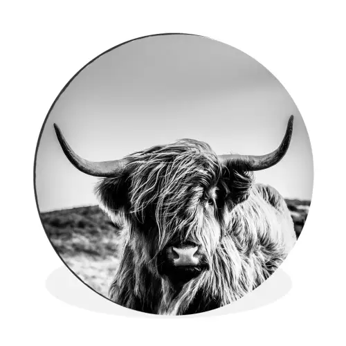 Koe - Schotse hooglander - Zwart - Wit - Dier - Natuur - Wild Wandcirkel aluminium klein -3d