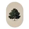 Eikenboom - Schaduw - Egaal Wandcirkel Ovaal Forex klein -3d
