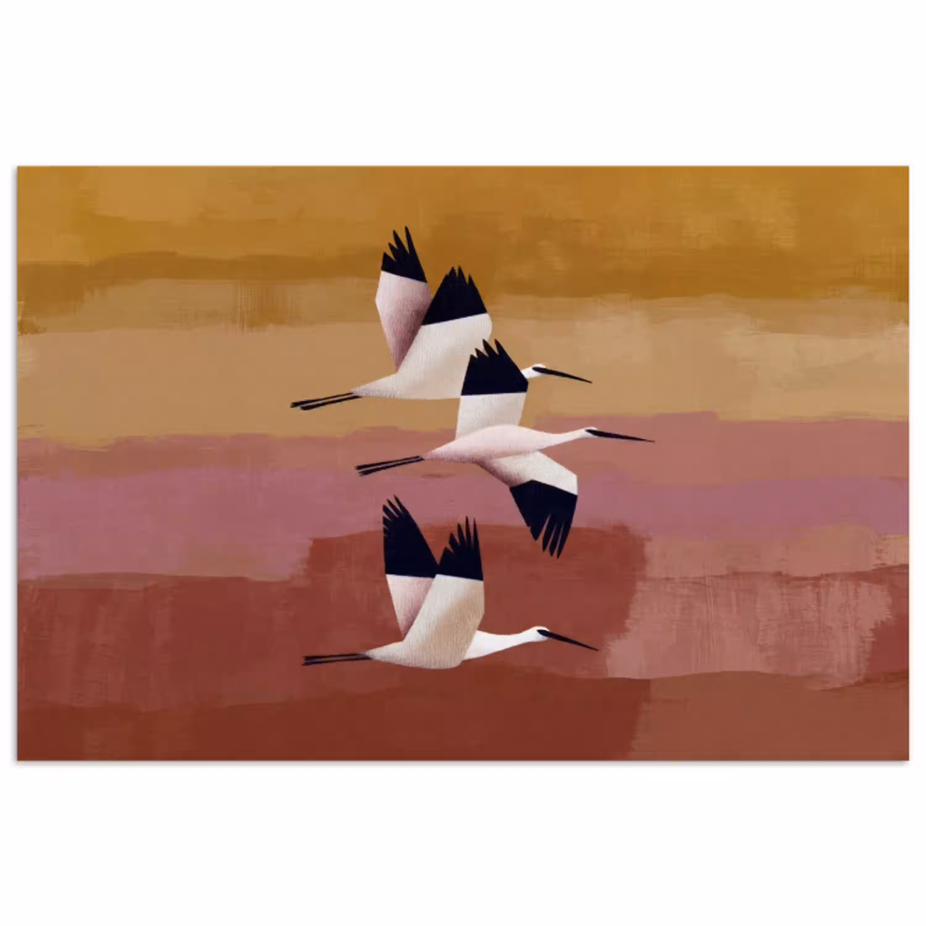 Vogels - Snavel - Abstract poster papier klein -3d