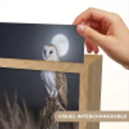 Kerkuil - Maan - Nacht Light Box met kabel (Kinderlampje) klein -USP_websiteprintFR