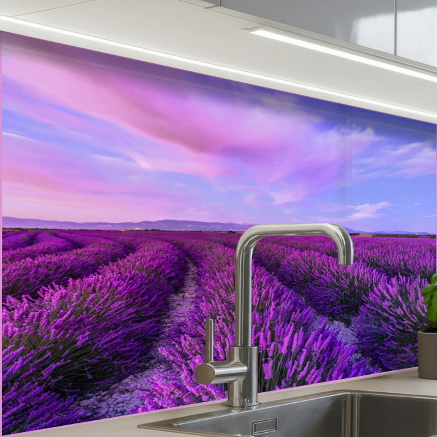 Lavendel - Paars - Bloemen - Natuur keuken achterwand 2 middel -zzzz3d_schuin