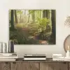 Bos - Bomen - Pad - Zon - Planten - Bladeren - Natuur PET vilt klein -sfeer1