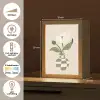 Vaas - Geruit - Bloem - Groen Light Box met kabel (Tafellamp) klein -USP_NL