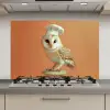 Kerkuil - Koksmuts - Oranje - Vogel keuken achterwand spatscherm klein -3d_website