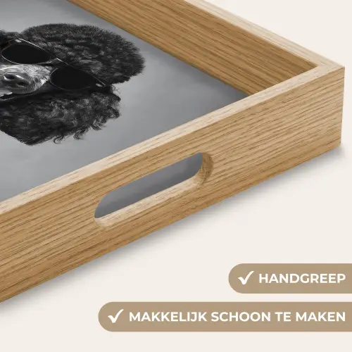 Hond - Krullen - Zonnebril - Wijn Dienblad Rechthoek middel -USP_HandgreepNL