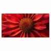 Close up - Bloem- Rood Muismat XXL klein -3d_leeg