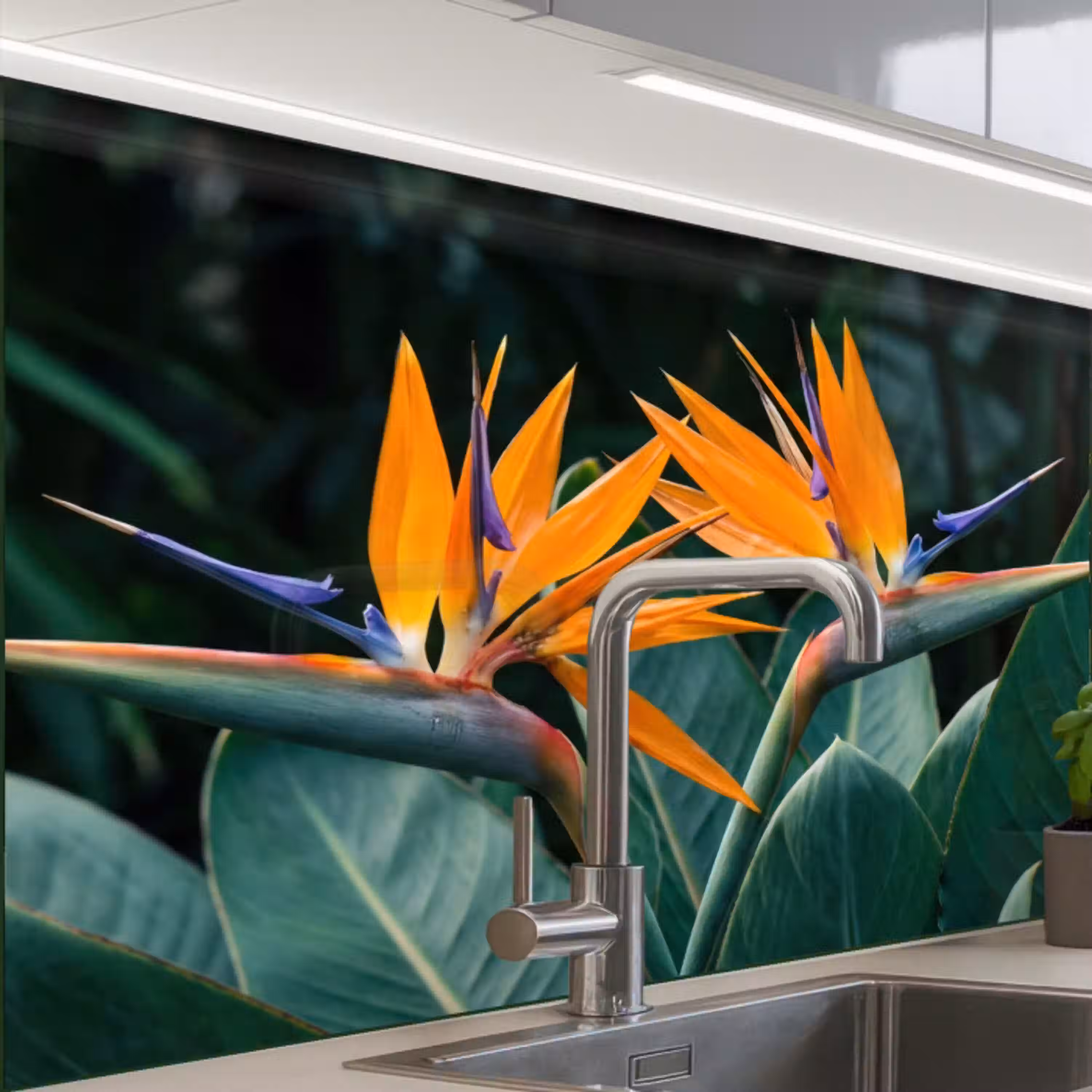 Paradijsvogel - Bloem - Exotisch keuken achterwand 2 middel -zzzz3d_schuin