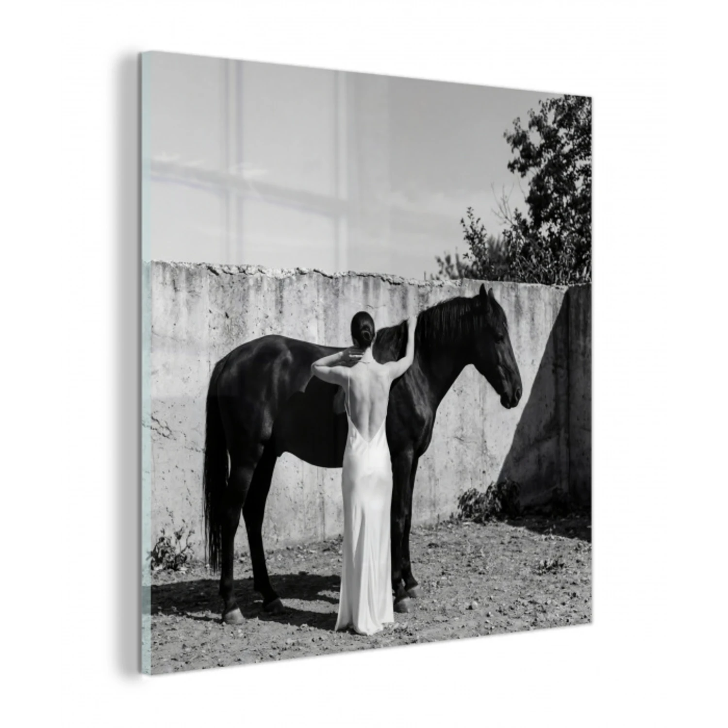 Vrouw - Paard - Artistiek plexiglas 5mm klein -z3d