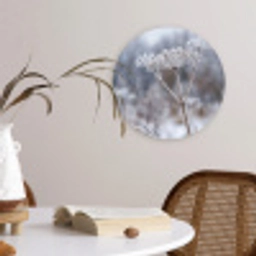 Schermbloem - Rijp - Kristallen - Winter - Delicaat Wandcirkel kunststof plaat 5mm dik klein -sfeer4