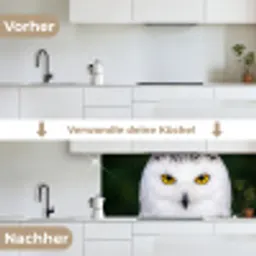 Sneeuwuil - Portret - Geel keuken achterwand 2 middel -voor-na_DE