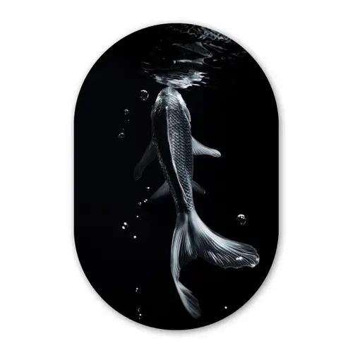 Koi - Vissen - Water - Zwart Wandcirkel Ovaal Forex klein -3d
