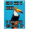 Vogel - Toekan - Blauw - Quotes tuinposter los doek klein -3d