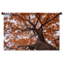 Boom - Bladerdak - Herfst - Oranje - Sfeervol Wandkleed katoen middel -zz3d