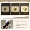 Vis - Sierlijk - Rugvin - Geel Light Box met batterij (Wandlamp) middel -USP_dimbaarNL