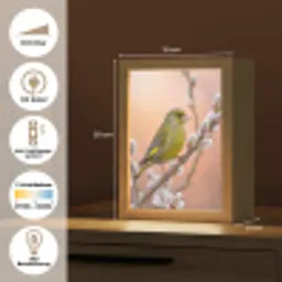 Groenling - Katjes - Lente - Natuur - Zacht Light Box met kabel (Kinderlampje) klein -USP_DE