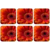 Oranje - Gerbera - Intens onderzetter kurk middel -zkaufland3dotto