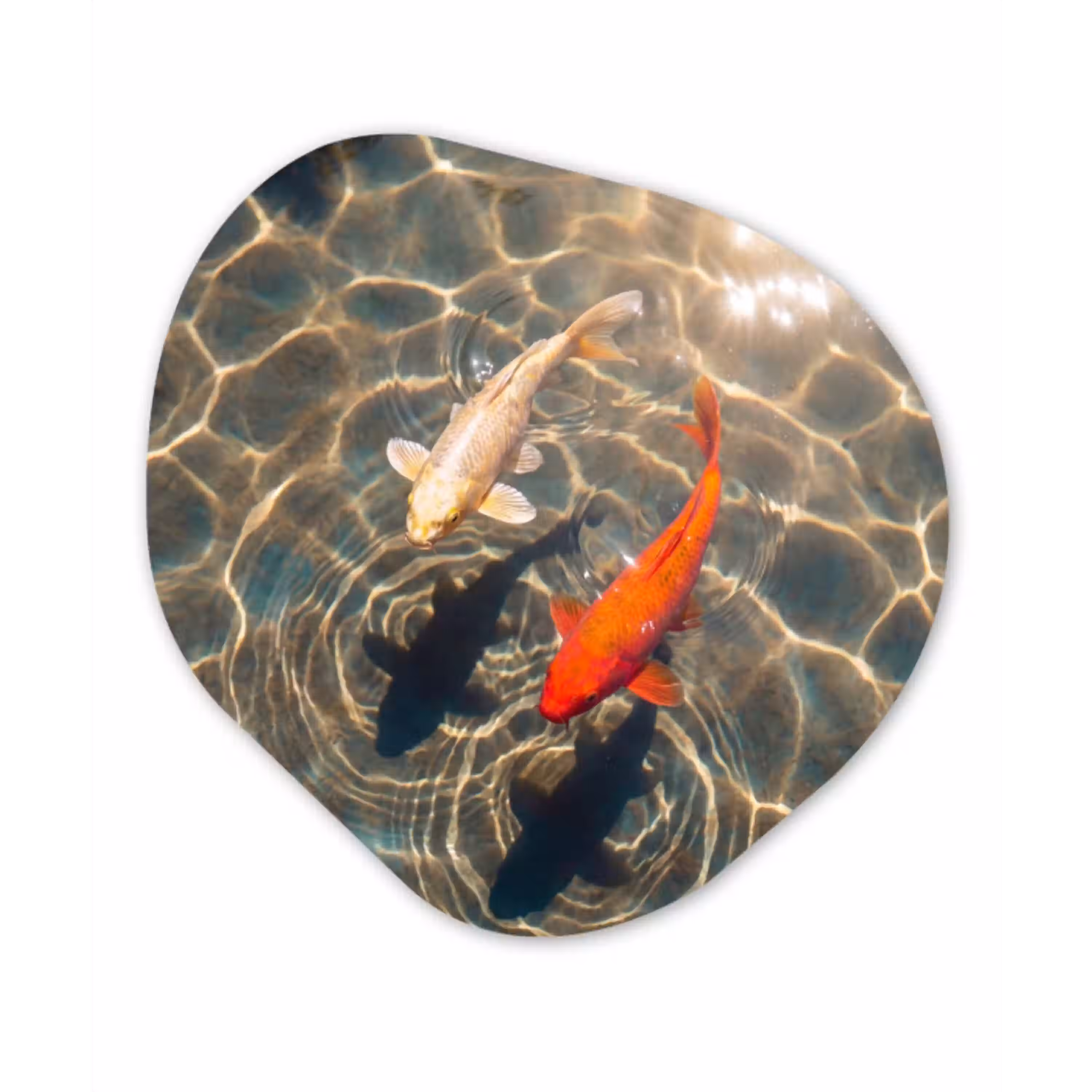 Vis - Water - Dieren - Oranje - Goud Wandcirkel Organisch Aluminium middel -3d