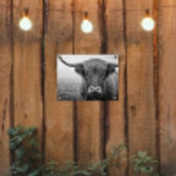 Schotse hooglander - Zwart - Wit - Gras tuinposter los doek klein -sfeer1