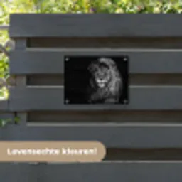 Majestueuze leeuw in de duisternis tuinposter los doek klein -sfeer3